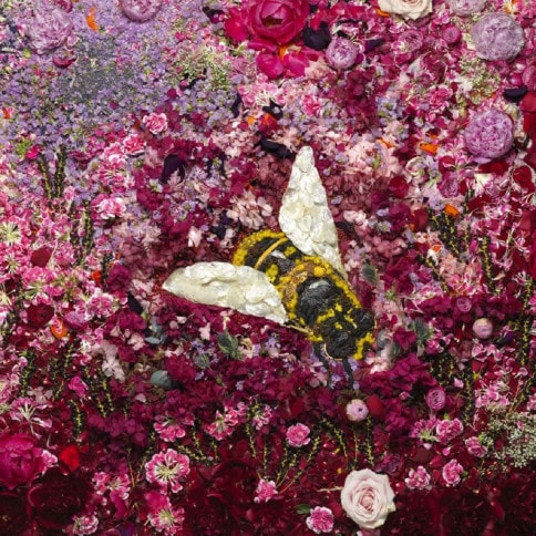 guerlain-gaia-blog-2019-00