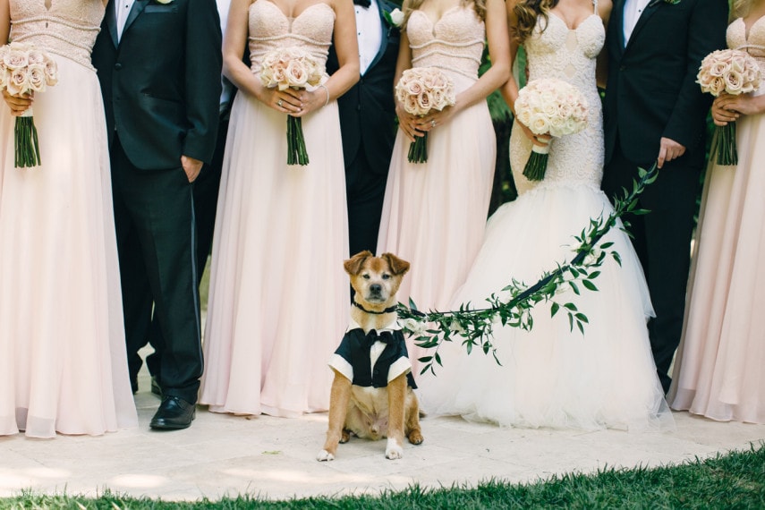 michelle-beller-photography-wedding-2016-06
