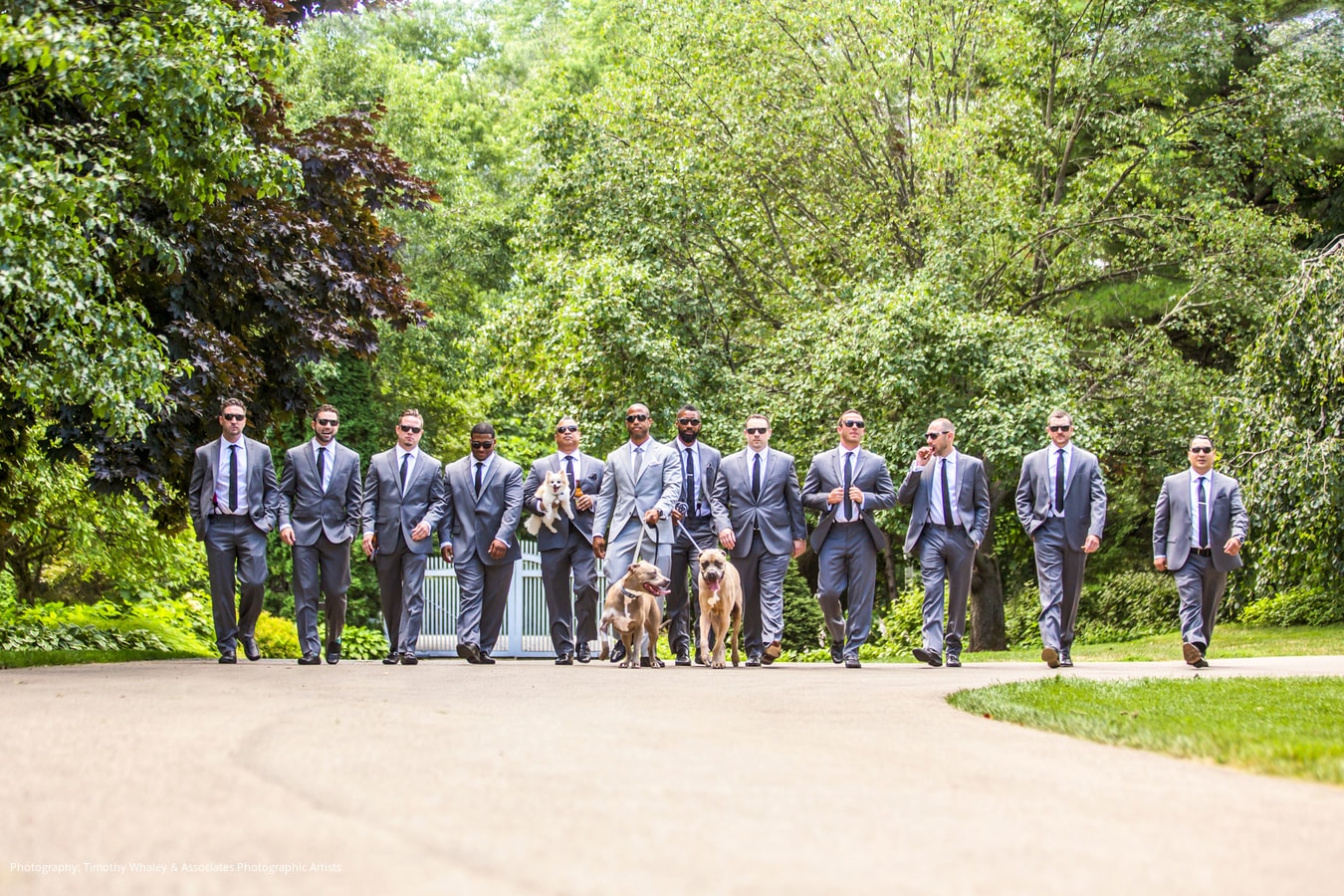 timothy-whaley-associates-wandering-tree-wedding-2017-08
