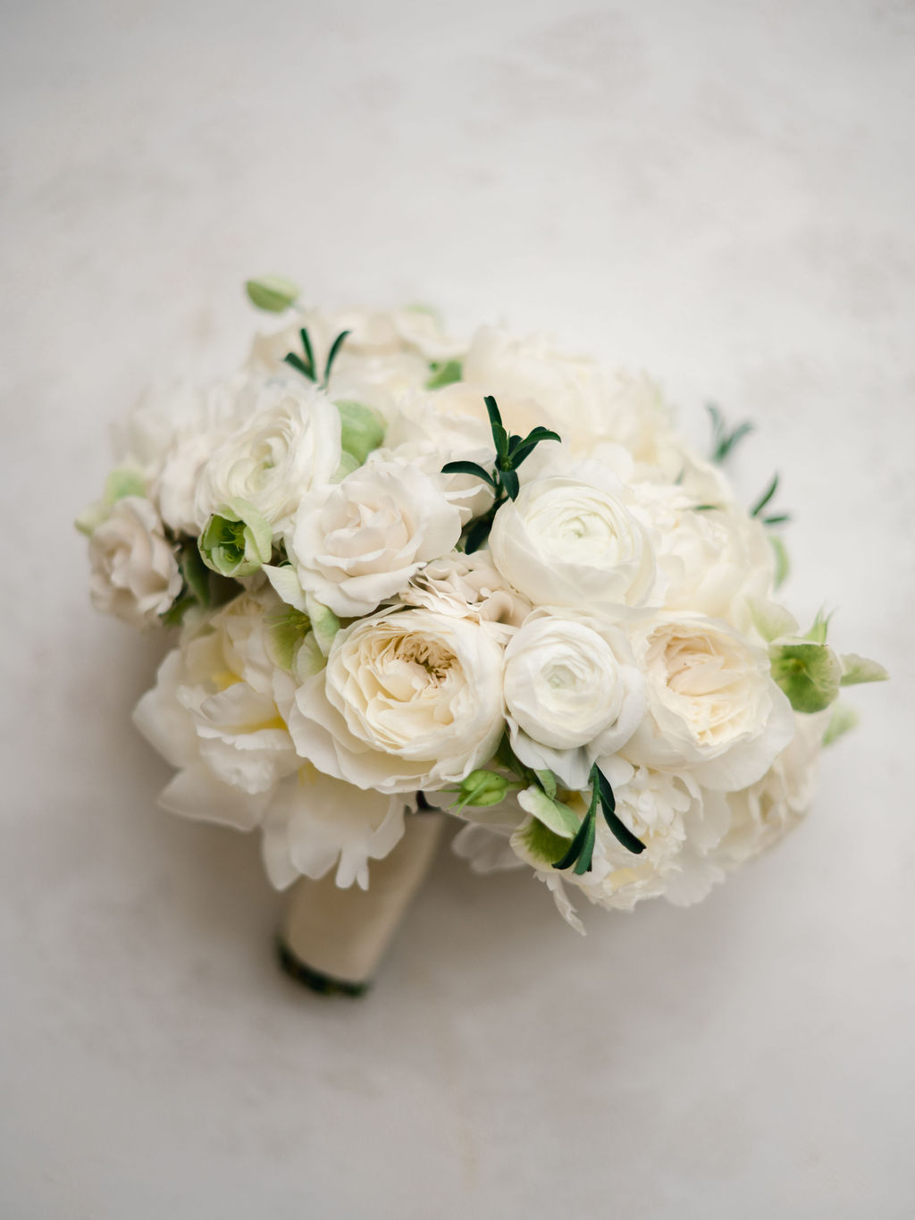 McCunePhotography_VibianaSubmission-28